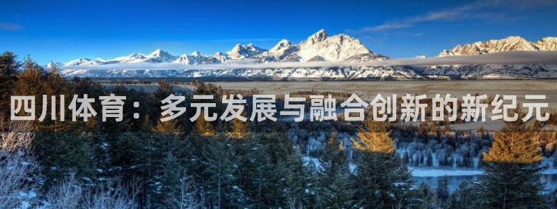 凯发官方正版app娱乐：四川体育：多元发展与融合创新