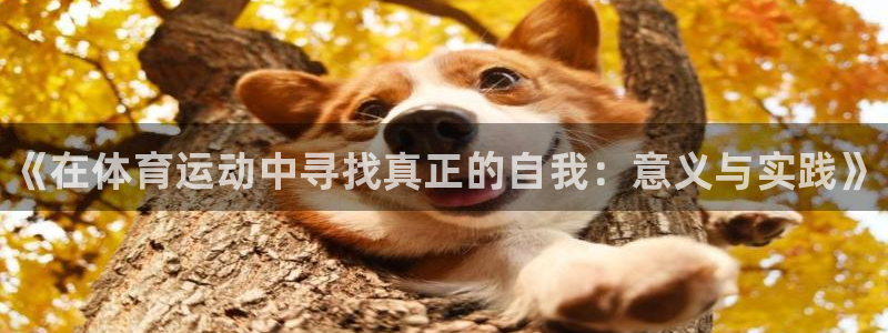 注册凯发官方正版app：《在体育运动中寻找真正的自我