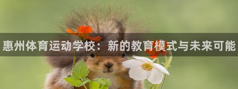 凯发官方正版app集团官网首页网址：惠州体育运动学校