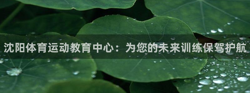 凯发官网下载招商电话：沈阳体育运动教育中心：为您的未