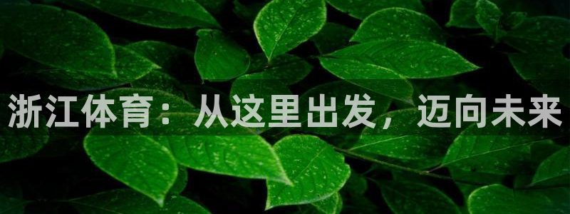 凯发官网下载平台：浙江体育：从这里出发，迈向未来