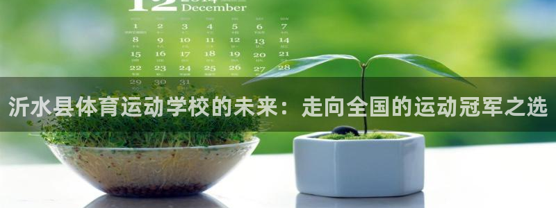 凯发官网下载平台注册流程视频：沂水县体育运动学校的未