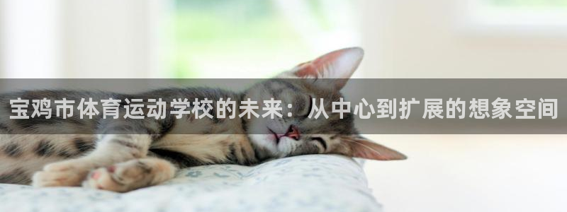 凯发官方正版app娱乐网站：宝鸡市体育运动学校的未来