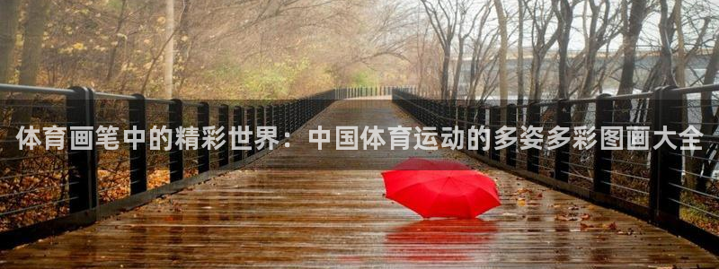 凯发官方正版app集团：体育画笔中的精彩世界：中国体