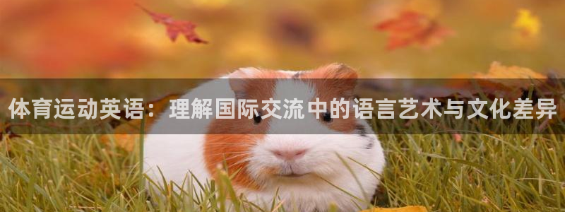 德国凯发官方正版app集团：体育运动英语：理解国际交