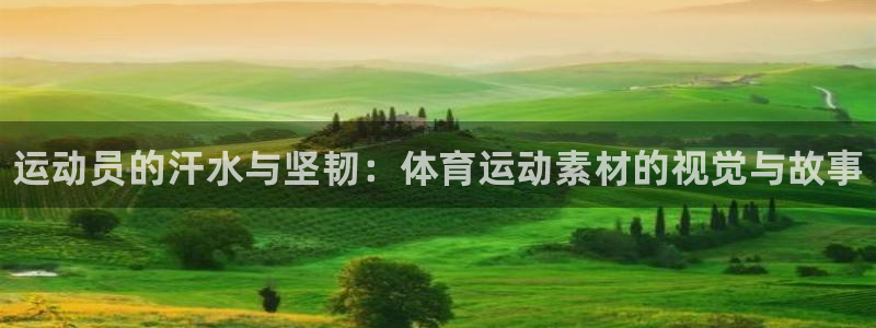 凯发官方正版app集团简介：运动员的汗水与坚韧：体育
