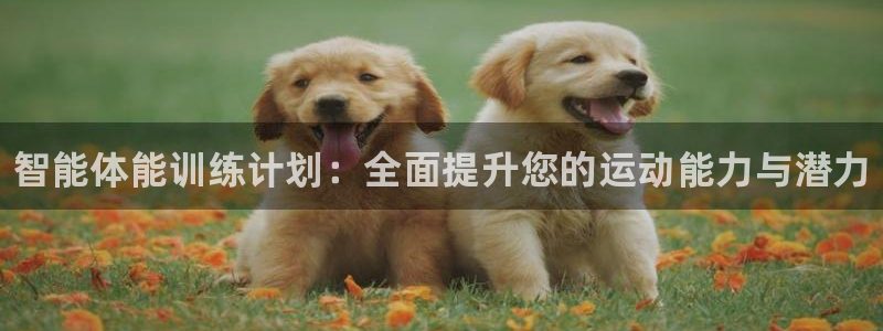 凯发官方正版app娱乐是那个系列的台子：智能体能训练计划：全