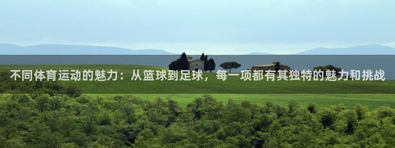 凯发官方正版app娱乐下载：不同体育运动的魅力：从篮球到足球