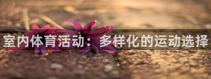 凯发官方正版app娱乐平台：室内体育活动：多样化的运动选择