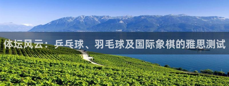 德国凯发官方正版app集团：体坛风云：乒乓球、羽毛球及国际象