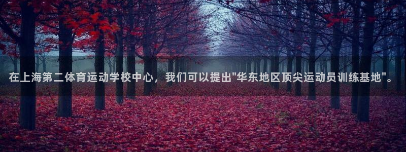 凯发官网下载平台注册流程视频：在上海第二体育运动学校
