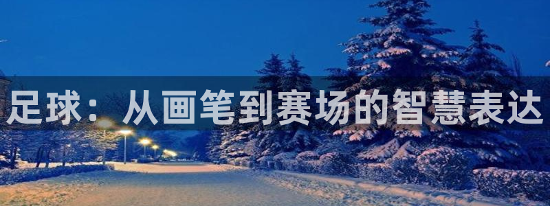 德国凯发官方正版app集团：足球：从画笔到赛场的智慧