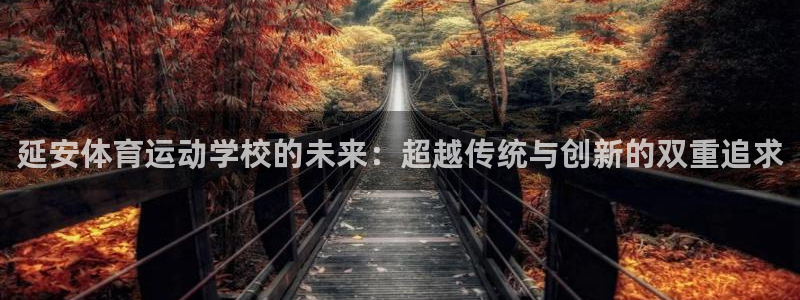 凯发官方正版app科技：延安体育运动学校的未来：超越