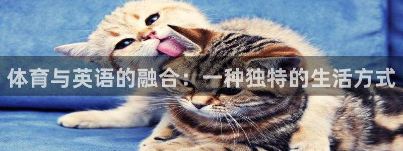 凯发官网下载招商电话号码查询是多少：体育与英语的融合