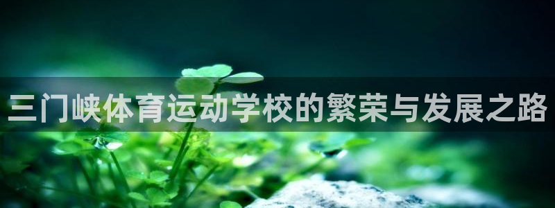 凯发官方正版app五金厂：三门峡体育运动学校的繁荣与