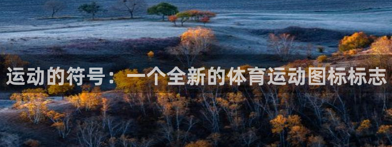 凯发官网下载注册：运动的符号：一个全新的体育运动图标