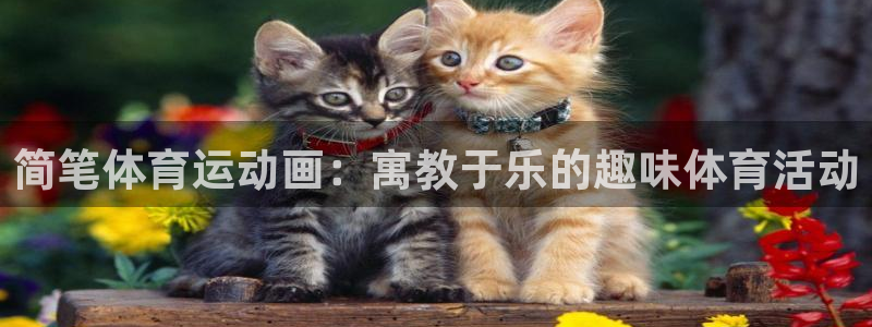 凯发官方正版app娱乐平台：简笔体育运动画：寓教于乐
