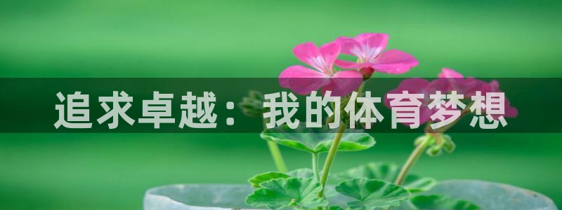 凯发官方正版app集团E.ON：追求卓越：我的体育梦想
