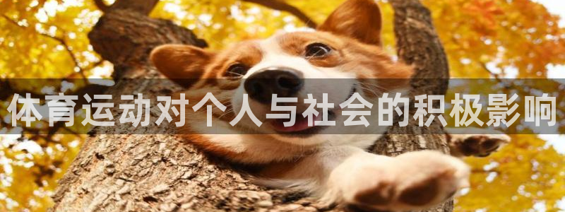 凯发官网下载平台是正规平台吗安全吗