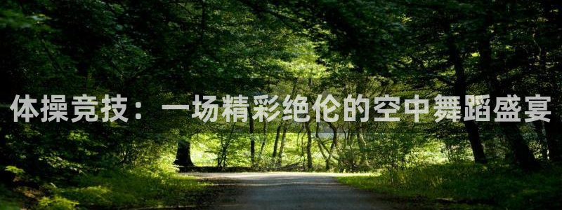 凯发官方正版app集团官网首页：体操竞技：一场精彩绝伦的空中