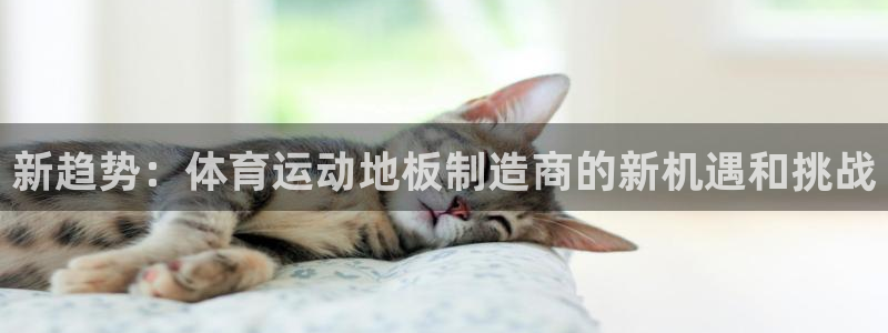 凯发官方正版app开户