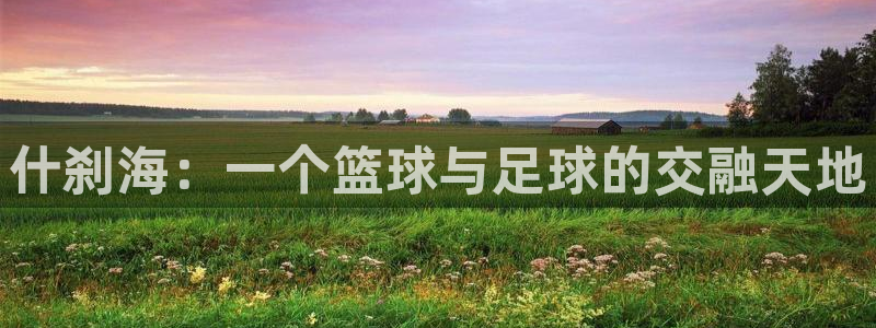 凯发官方正版app娱乐是那个系列的台子：什刹海：一个篮球与足