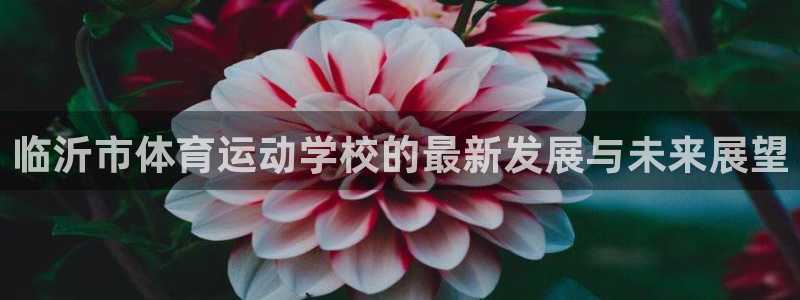 凯发官网下载平台注册要钱吗:临沂市体育运动学校的最新发展与未