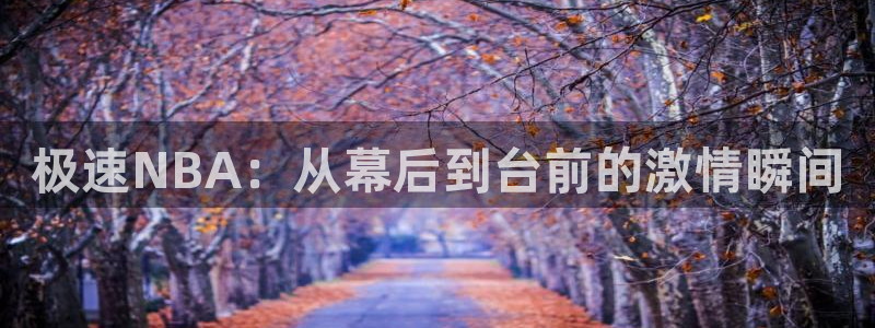 柠檬体育在线直播nba：极速NBA：从幕后到台前的激情瞬间
