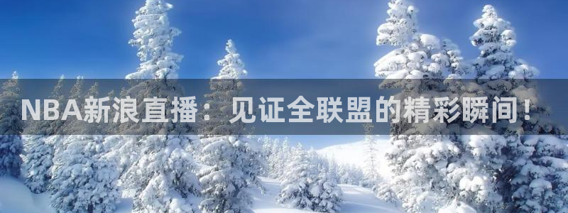 柠檬直播：NBA新浪直播：见证全联盟的精彩瞬间！