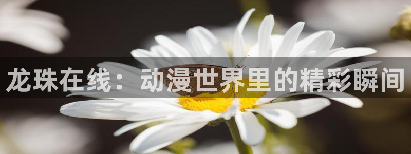 cba柠檬直播：龙珠在线：动漫世界里的精彩瞬间